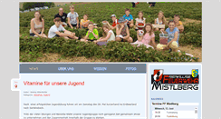 Desktop Screenshot of ff-mistlberg.at